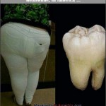 Meanwhile, In Walmart ...   built like a tooth Meanwhile In America 150x150