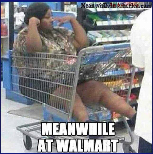 fat lazy nigga bitch walmart shopping cart Meanwhile In America